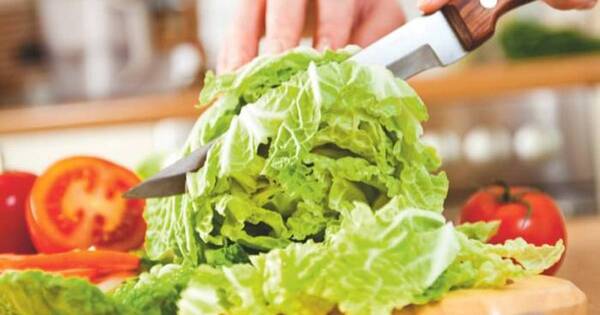 La Nación / Té de lechuga: Cómo aprovechar el vegetal para combatir el insomnio