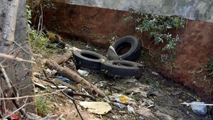 Neumáticos en desuso contribuyen a epidemia de dengue y chikungunya