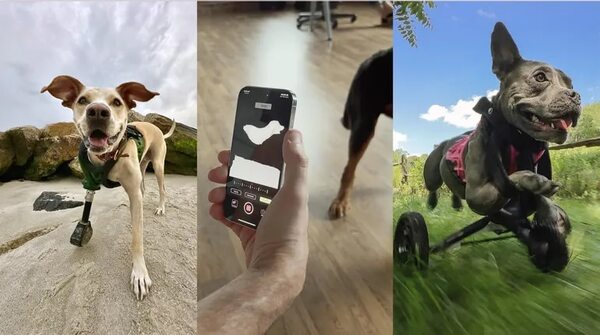 Prótesis impresas en 3D para cachorros - Mascotas - ABC Color