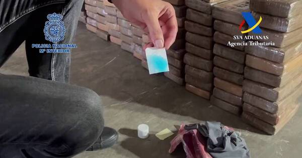 La Nación / España incauta 9.400 kilos de cocaína en contenedor ecuatoriano