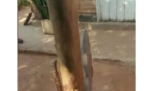 Tatacho atacó a su doña con un hacha y está grave