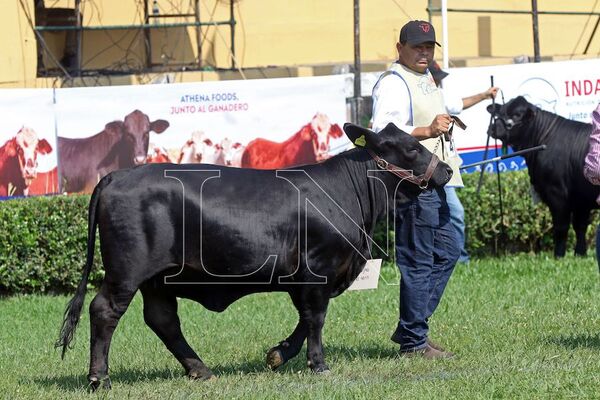 Basa invita a aprovechar sus beneficios en el remate de la Cabaña Galileo