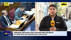 Video: Tribunal rechaza una chicana más de Erico - ABC Noticias - ABC Color