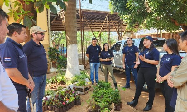 Entregan plantines y realizan charlas en Centro Educativo de CDE