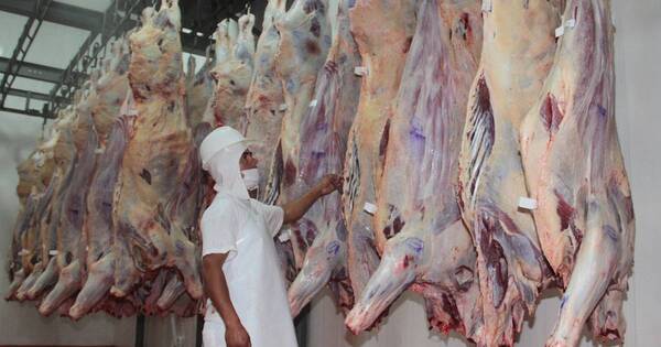La Nación / Abrir mercados para la carne es el principal pedido del sector