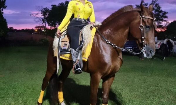 Modelo pide ayuda para recuperar a su caballo: “No está a la venta”