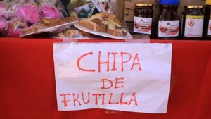 ¡LO ÚLTIMO! HACEN CHIPA DE FRUTILLA