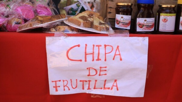 ¡LO ÚLTIMO! HACEN CHIPA DE FRUTILLA