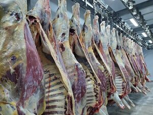 Brasil aceleró el ritmo de exportación de carne vacuna en agosto