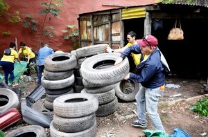 Dengue y chikunguña: piden a Nenecho aumentar trabajos de prevención e insistir en fiscalización de gomerías - Nacionales - ABC Color