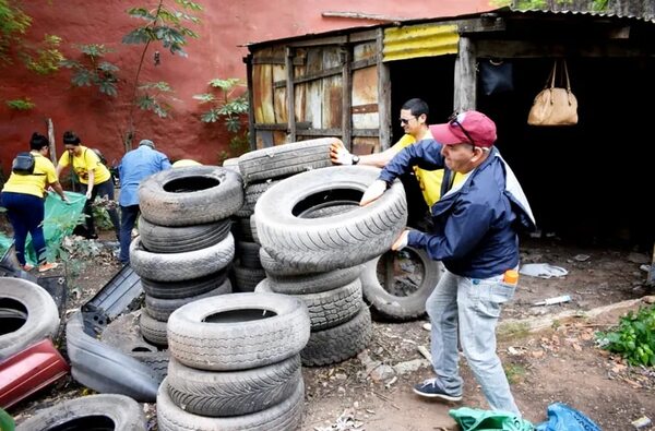 Dengue y chikunguña: piden a Nenecho aumentar trabajos de prevención e insistir en fiscalización de gomerías - Nacionales - ABC Color