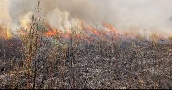 La Nación / Otra ciudad de Canadá forzada a evacuar por los incendios