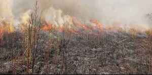 Otra ciudad de Canadá forzada a evacuar por los incendios