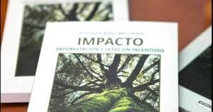 La Nación / Libro pone el foco en la deforestación de bosques