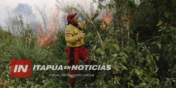 BOMBEROS VOLUNTARIOS: PREVENIR INCENDIOS FORESTALES ES LA CONSIGNA - Itapúa Noticias