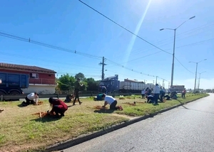 PLANTATÓN 2023: evento ambiental de arborización masiva - El Independiente