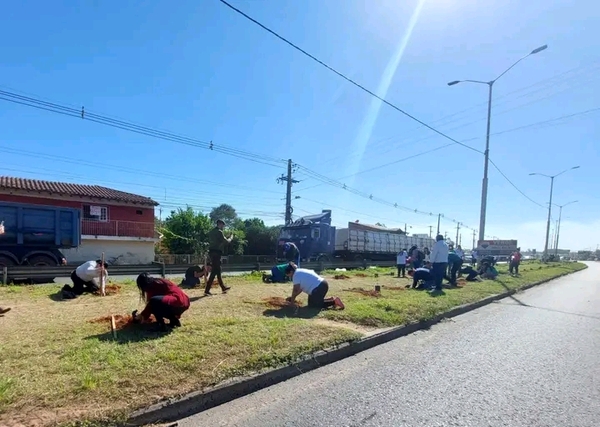 PLANTATÓN 2023: evento ambiental de arborización masiva - El Independiente