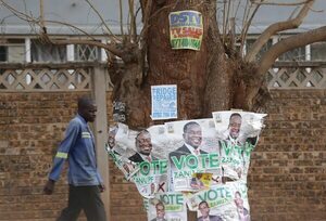 La ONU preocupada por detenciones de observadores y amenazas en las elecciones de Zimbabue - Mundo - ABC Color