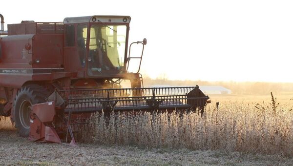 Un Niño impetuoso se hará sentir a partir de la primavera (pero auguran buena campaña agrícola 2023-2024)