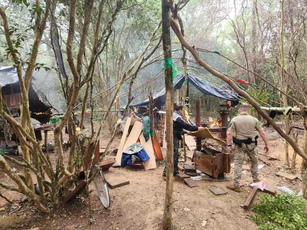 Inician operativo contra estructuras de producción de marihuana en Concepción - .::Agencia IP::.