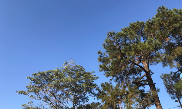 Lunes frío a cálido en Coronel Oviedo