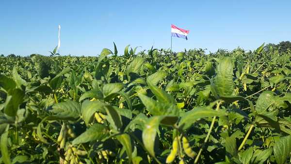 Productores sampedranos se alistan para el lanzamiento de la campaña sojera en la Colonia Barbero - .::RADIO NACIONAL::.
