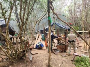 Concepción: inician operativo contra estructuras de producción de marihuana - El Independiente