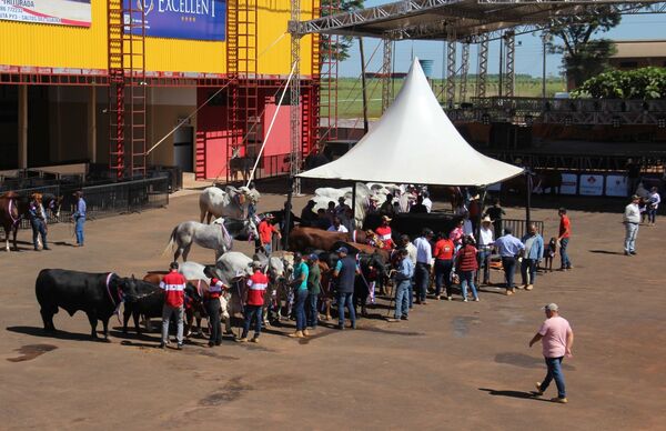 EXPO CANINDEYÚ - Revitalizado con la zafra recuperada y la posibilidad de buenos negocios