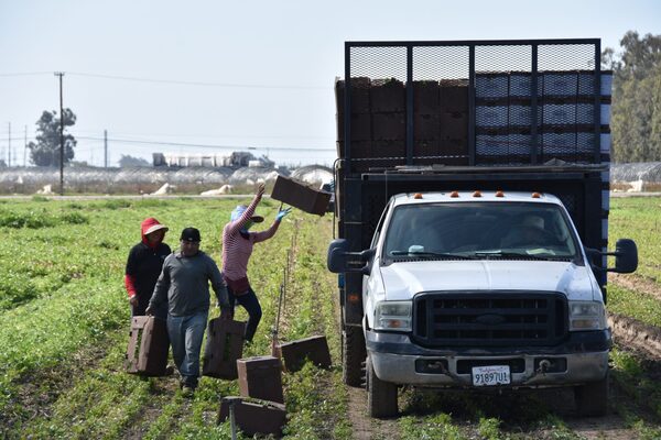 EE.UU. y México se unen para educar a trabajadores migrantes sobre los derechos laborales - MarketData