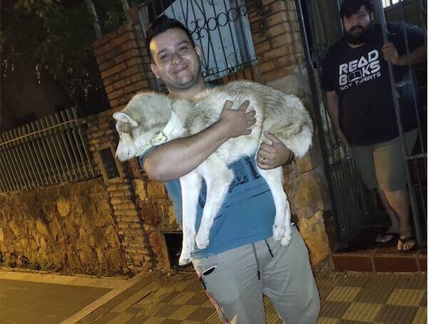 [VIDEO] Luego de seis meses de búsqueda, "Locote" regresó a su casita