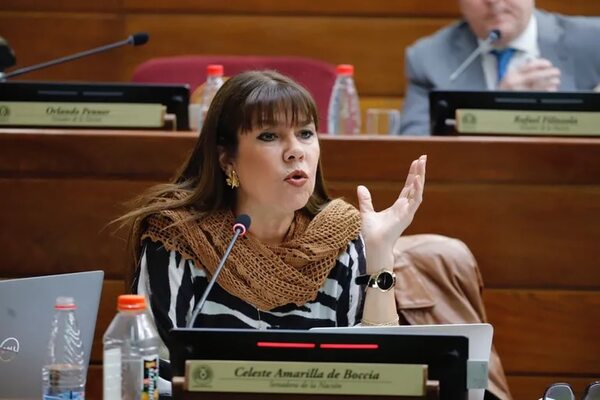 Senadora critica que no hubo reuniones previas con designados para prestar acuerdos - Política - ABC Color