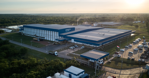 Minerva aumenta capacidad de faena a 42 mil cabezas al día en Sudamérica