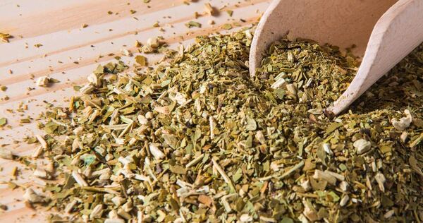 Realizarán congreso sudamericano de la Yerba Mate en Paraguay