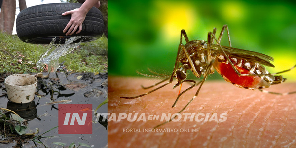 INSTAN A NO BAJAR LOS BRAZOS EN LA LUCHA DE ERRADICAR FOCOS LARVARIOS - Itapúa Noticias