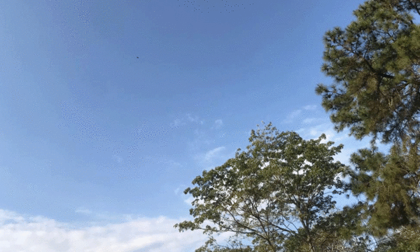 Martes fresco a cálido y con lluvias dispersas