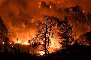 Incendio en parque nacional de Grecia es «el más grande» registrado en la UE - El Independiente