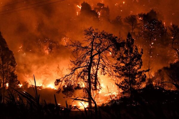 Incendio en parque nacional de Grecia es «el más grande» registrado en la UE - El Independiente