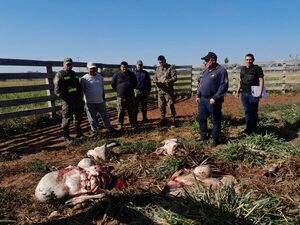 En 48 horas, dos abigeatos golpean a familias rurales de Loreto