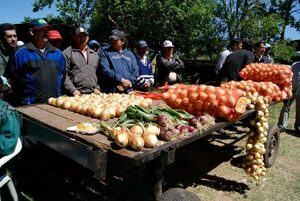 Diario HOY | Productores de cebolla piden auxilio ante el contrabando