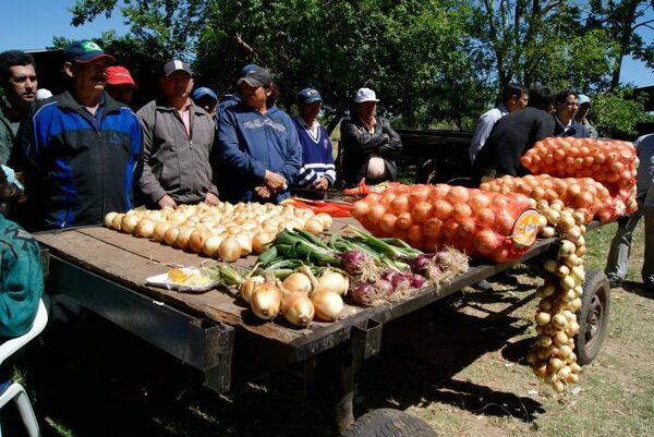 Diario HOY | Productores de cebolla piden auxilio ante el contrabando