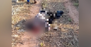 Colono menonita es asesinado a tiros durante un asalto en Nueva Durango