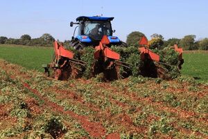 Llega la nueva zafra “Del campo paraguayo al mundo”