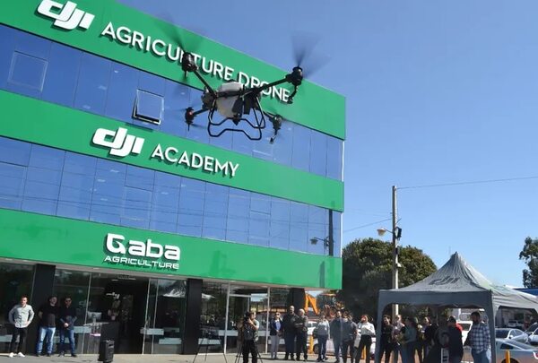 Drones que facilitan el trabajo a productores - Economía - ABC Color