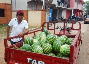 Horqueta expone cosecha generosa de sandía y piden adquirir las frutas para ayudar a los labriegos – La Mira Digital