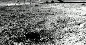 La Nación / Robot indio halla azufre en el polo sur de la Luna