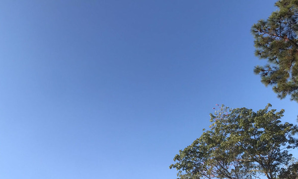 Miércoles fresco a cálido en Coronel Oviedo