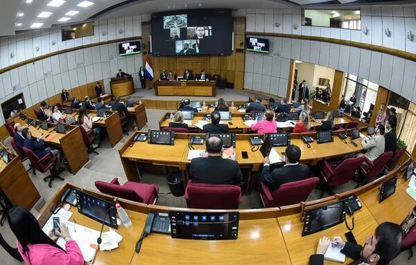 Proponen dedicar una hora semanal en las escuelas a la “deconstrucción del machismo” - Política - ABC Color