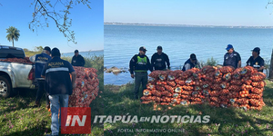 INCAUTARON GRANDES CANTIDADES DE CEBOLLA EN CAMPICHUELO  - Itapúa Noticias