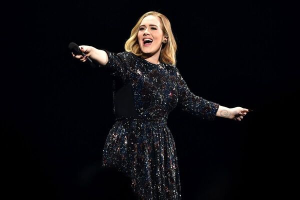 Adele detiene un show para defender a un fan