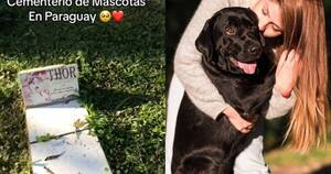 La Nación / Cementerio de mascotas enterneció a internautas